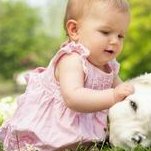 子宫腺肌症做试管婴儿有哪些流程