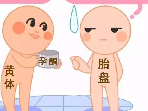 想做试管婴儿的各位，你们知道做试管婴儿的过程都有哪些吗？