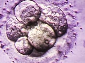 2026年江西试管婴儿医院哪家较好？江西试管费用纳入医疗保险吗？