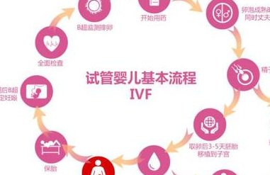 上海做三代试管婴儿费用需要多少？具体试管费用因人而异！