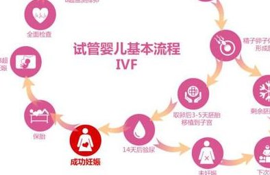 试管婴儿一特需未结合