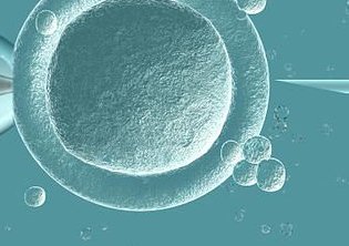 2026河源市最新男性陪产假有多少天？试管婴儿可以增加产假吗？