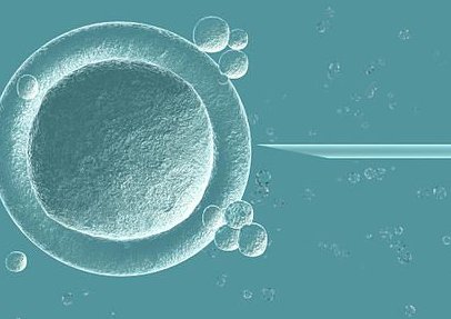 不孕不育患者可考虑试管婴儿辅助生殖技术生育宝宝