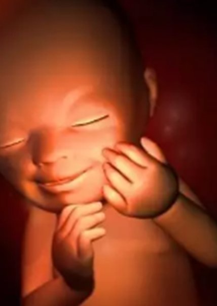 黄体功能不足移植方案要不要先补充黄体酮？